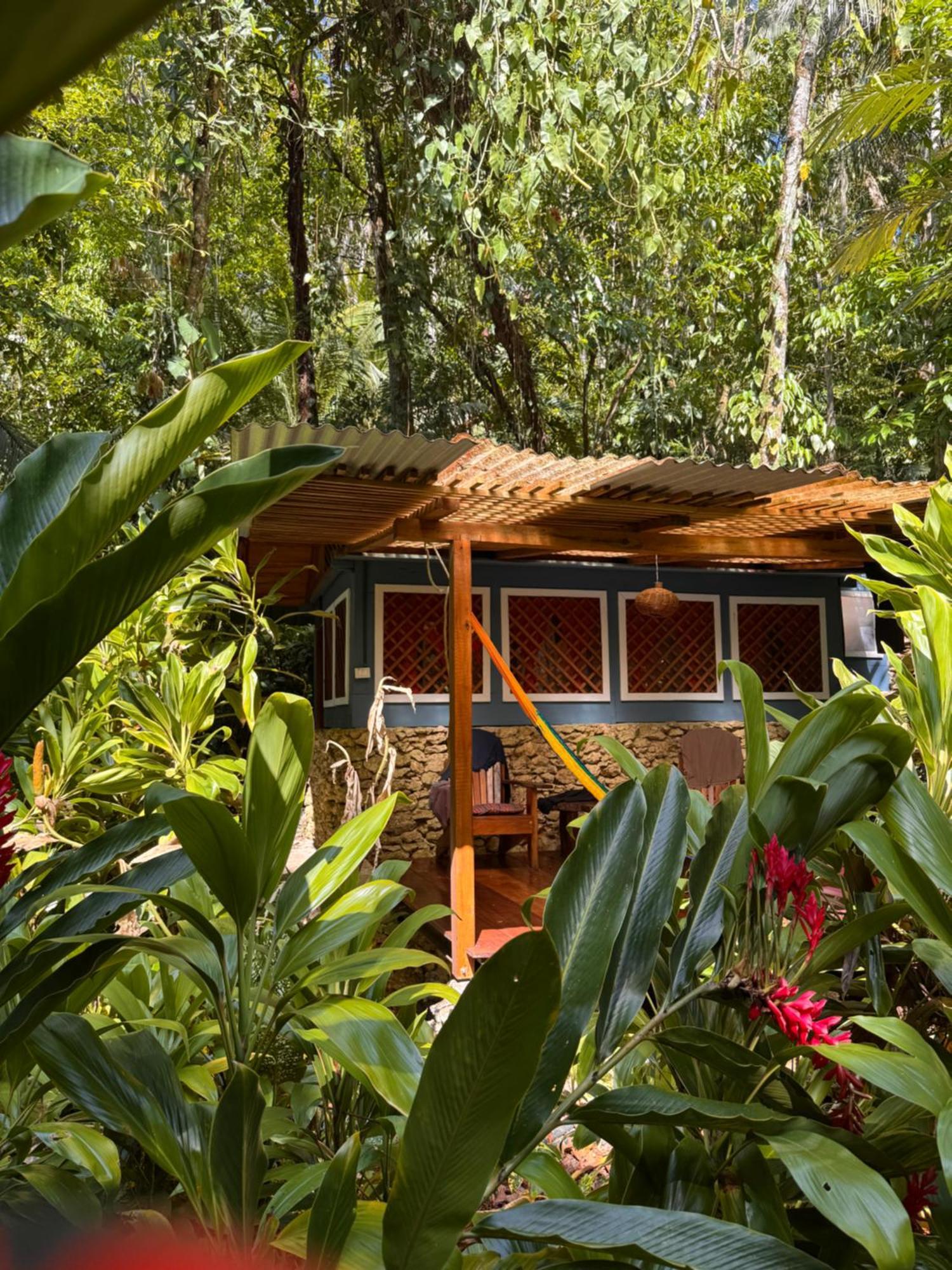 Finca Tatin Hotel Izabal Buitenkant foto